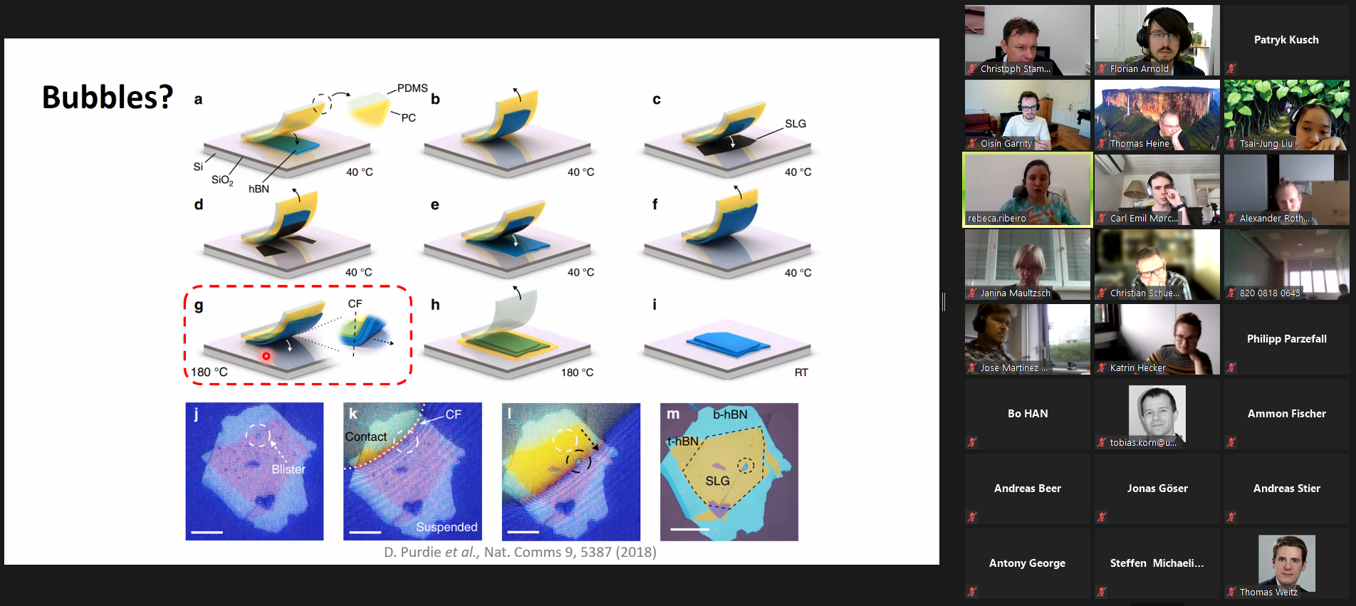 Screenshot taken during the lecture of Prof. Rebeca Ribeiro-Palau